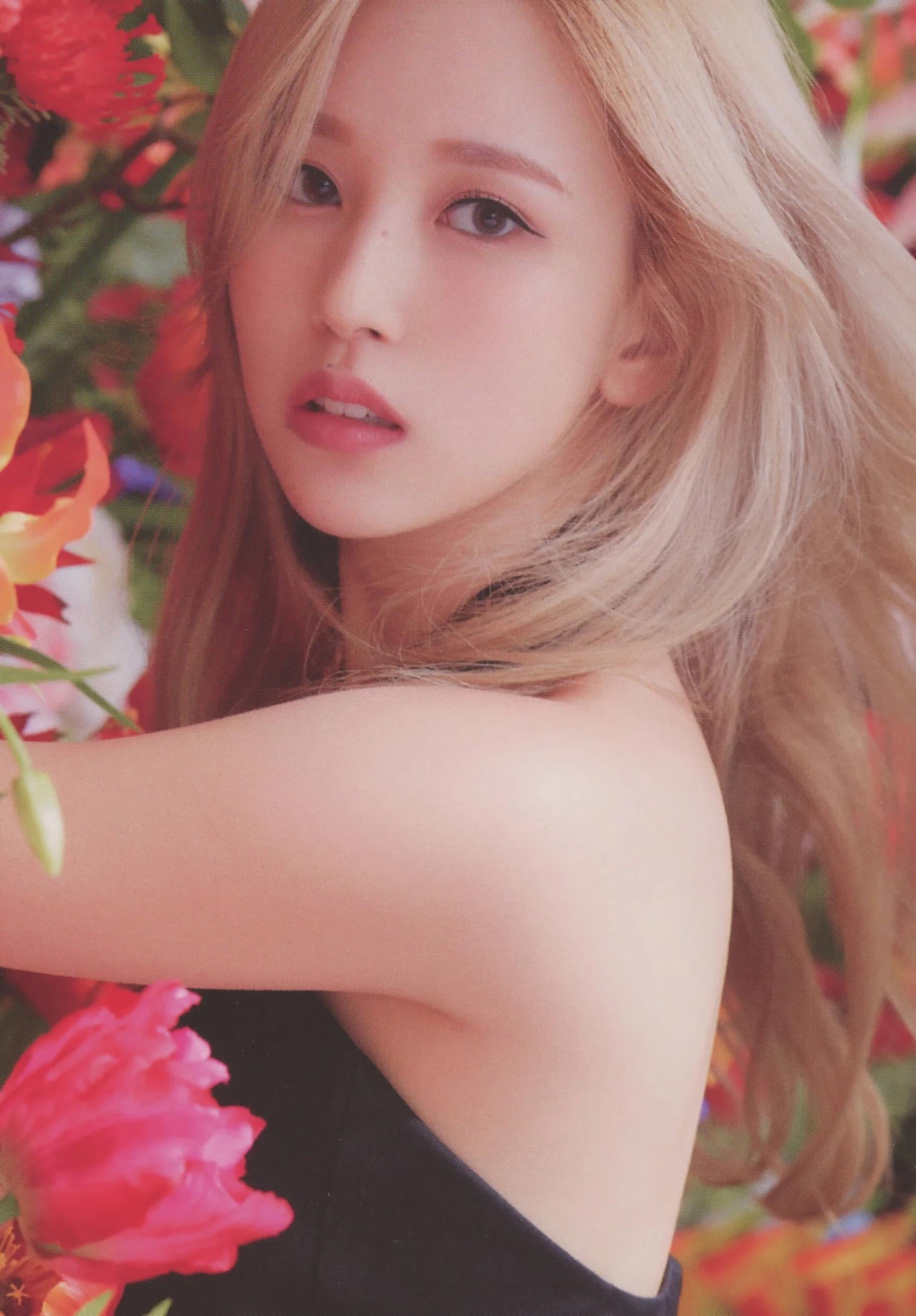 Mina - PTKOREA