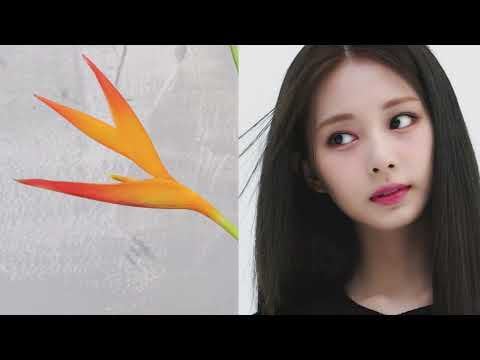 230224 DAHYUNINSIDE YouTube Update - ZOOC 2023 Spring Campaign (Tzuyu