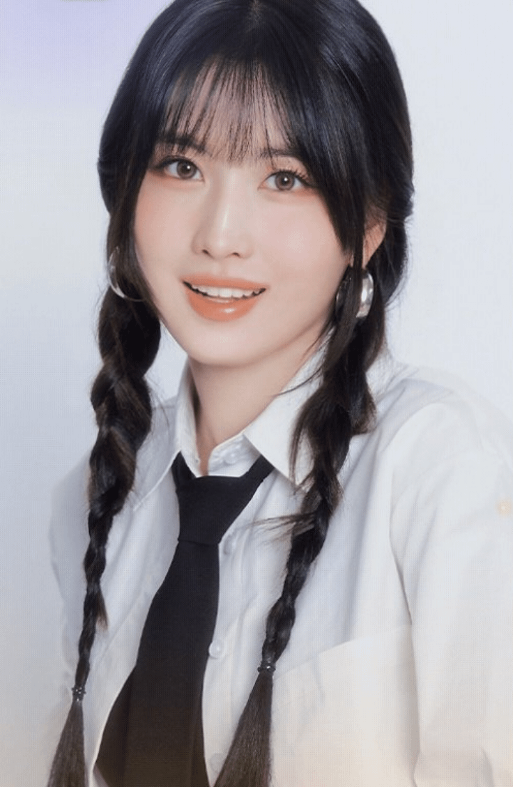 Momo PTKOREA momo-ptkorea
